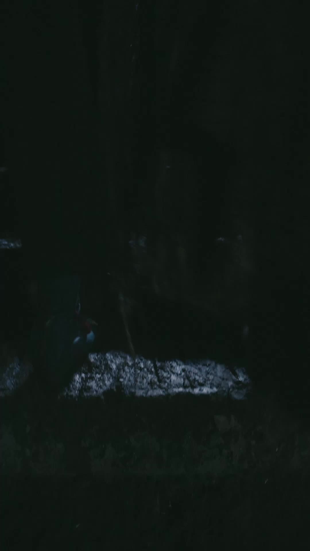 Episode 50 of He Who Rises for Blood