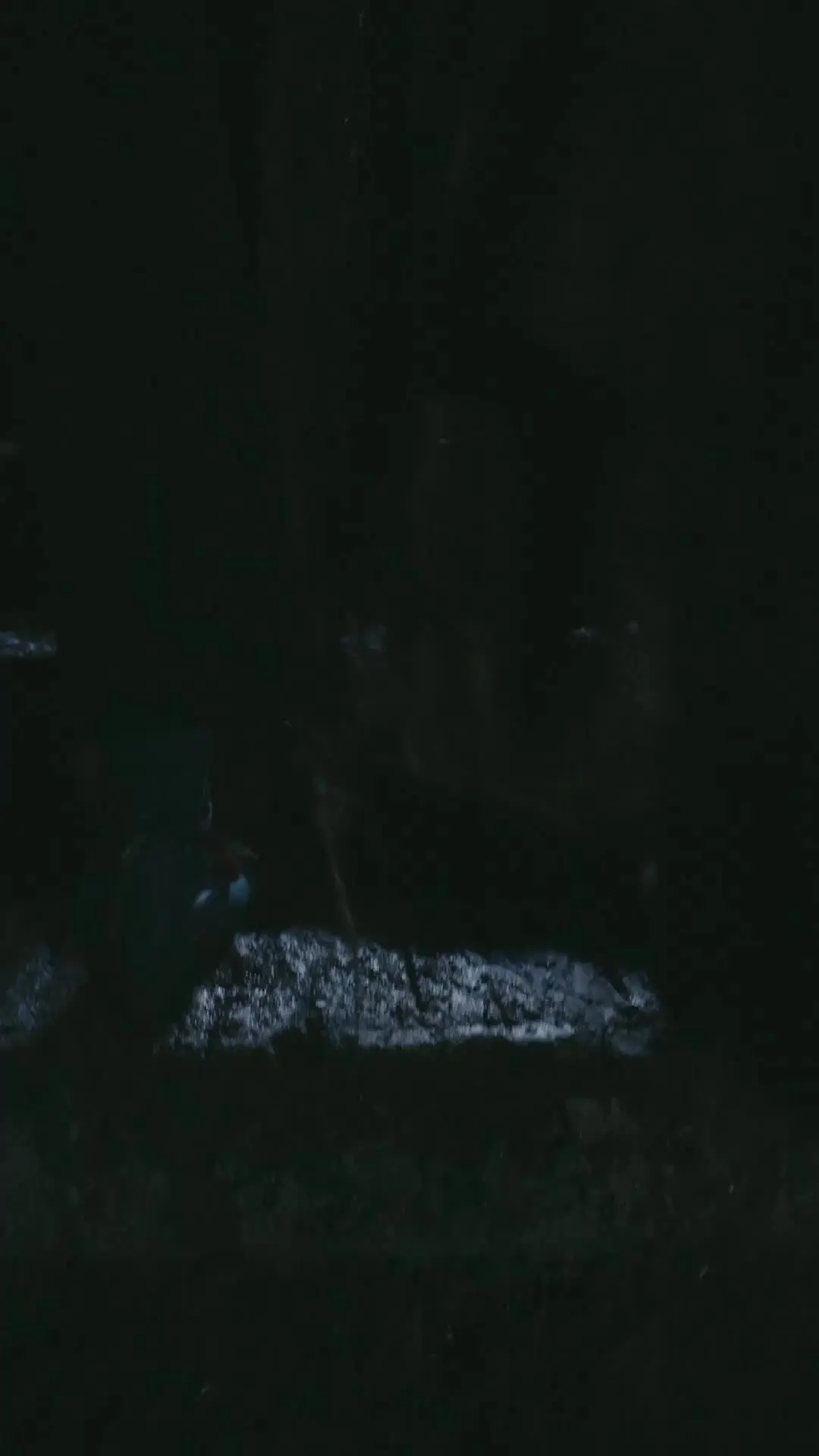 Episode 50 of He Who Rises for Blood