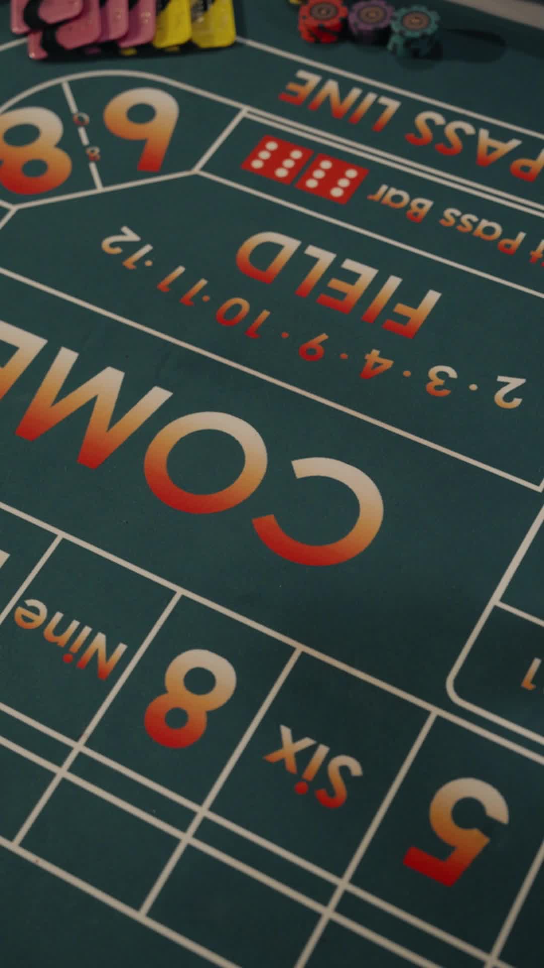 Episode 27 of Her Final Bet