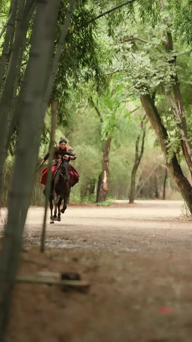 Episode 60 of Hey General, Your Disabled Husband’s Running Away