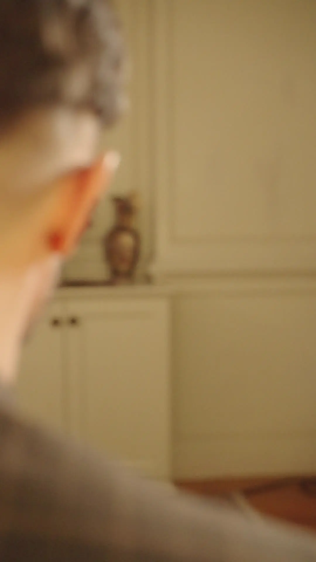 Episode 14 of Hidden Companionship