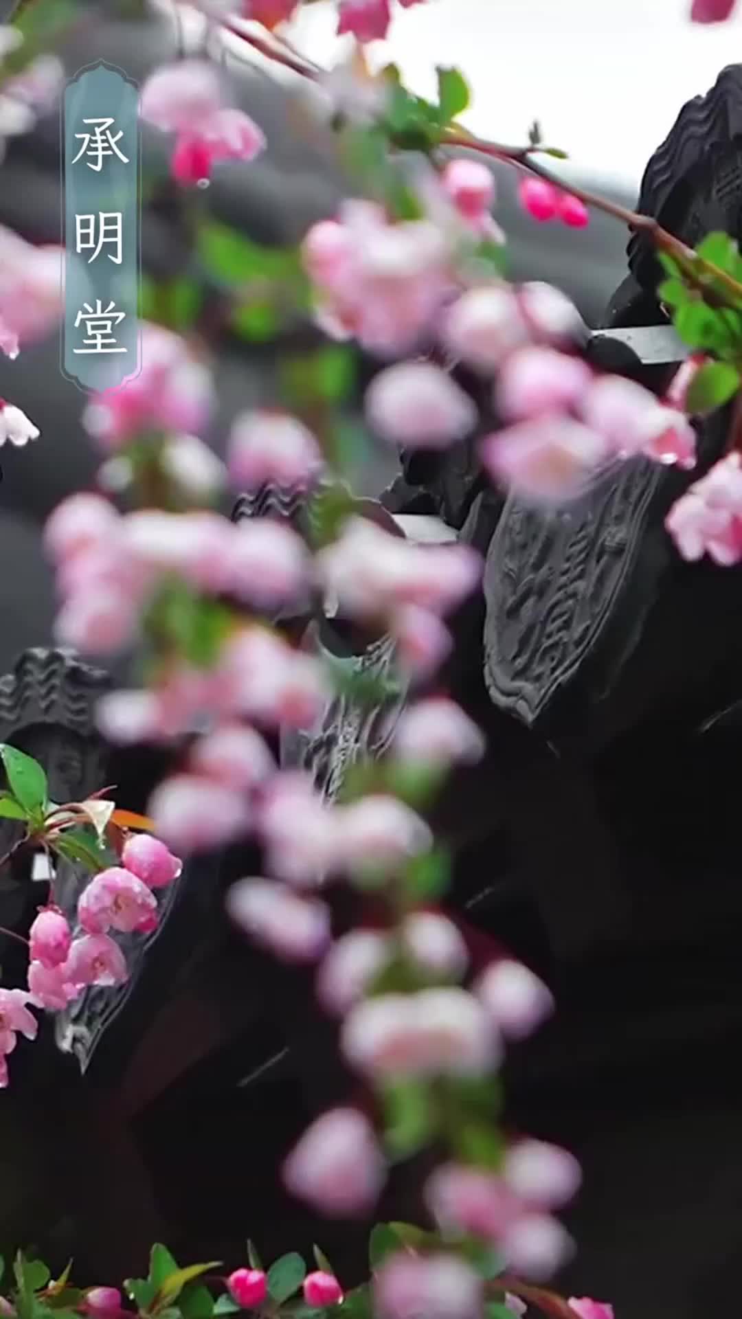 Episode 19 of Hubby, Let’s See Who Rules This House