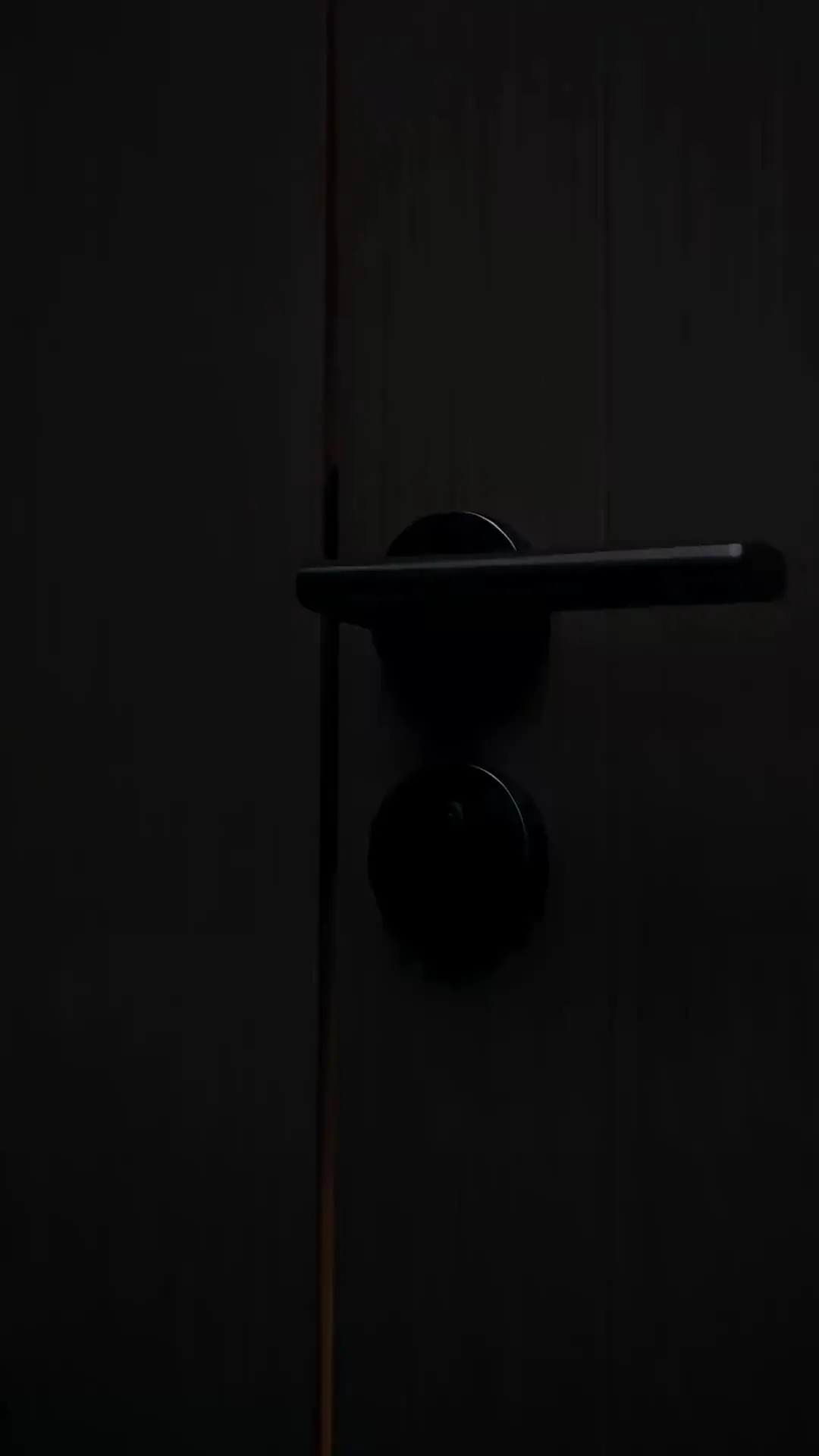 Episode 29 of I Left You Pregnant With Regret