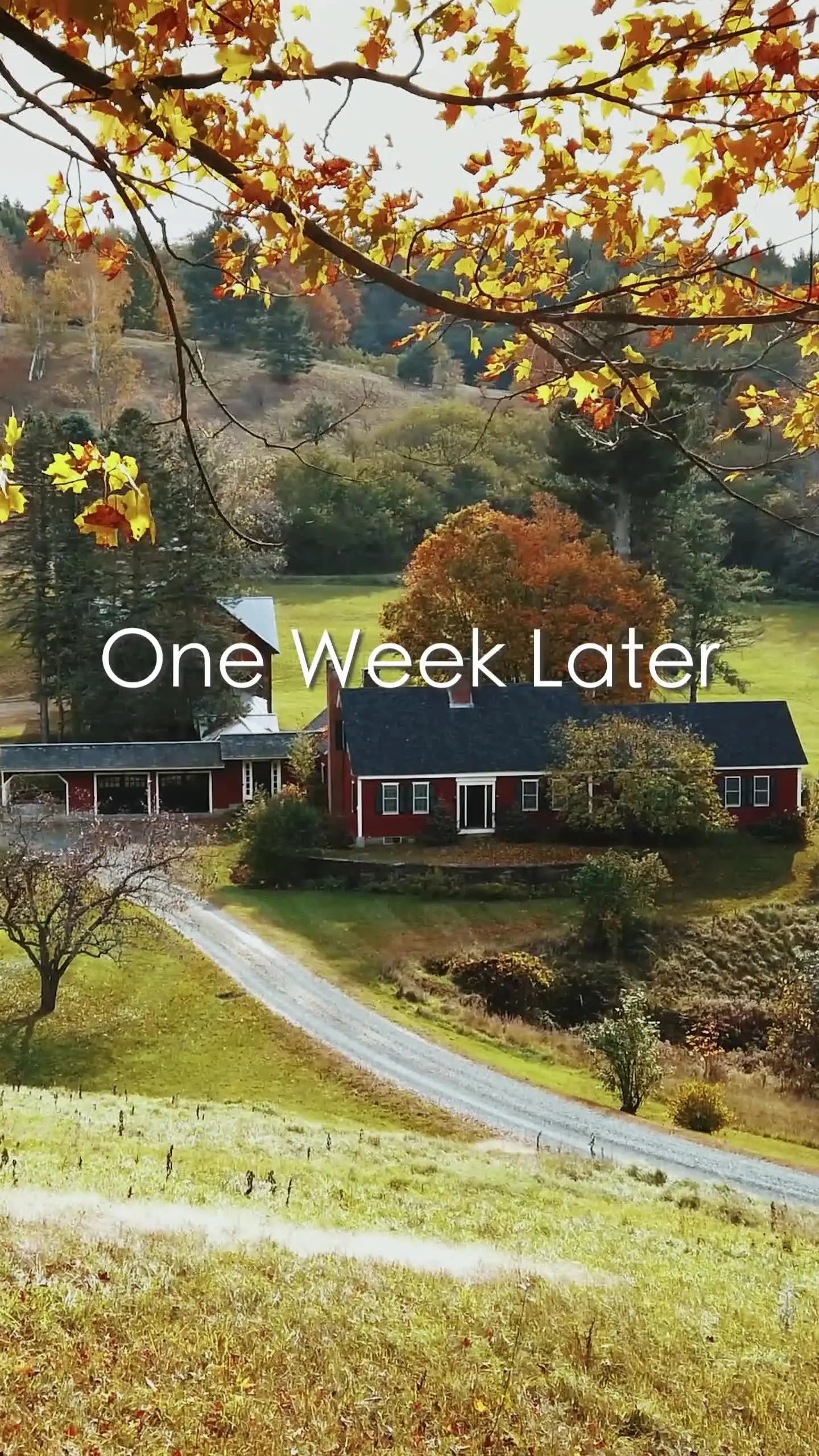 Episode 45 of In Love with a Single Farmer-Daddy