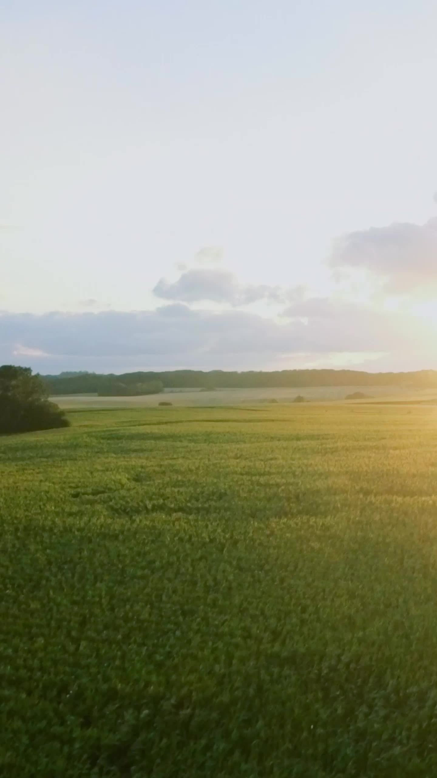 Episode 8 of In Love with a Single Farmer-Daddy