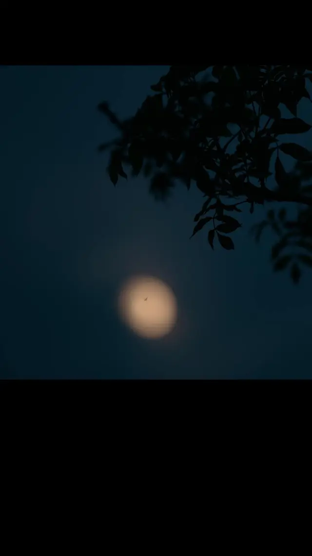 Episode 5 of Is It Just Me?