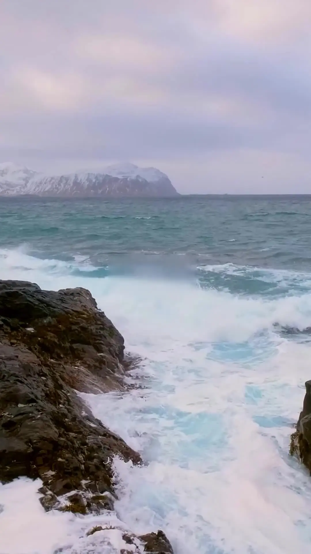 Episode 1 of Island Survival