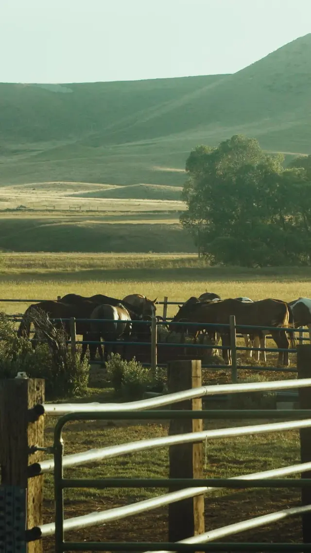 Episode 39 of Keeping the Cowboy's Baby