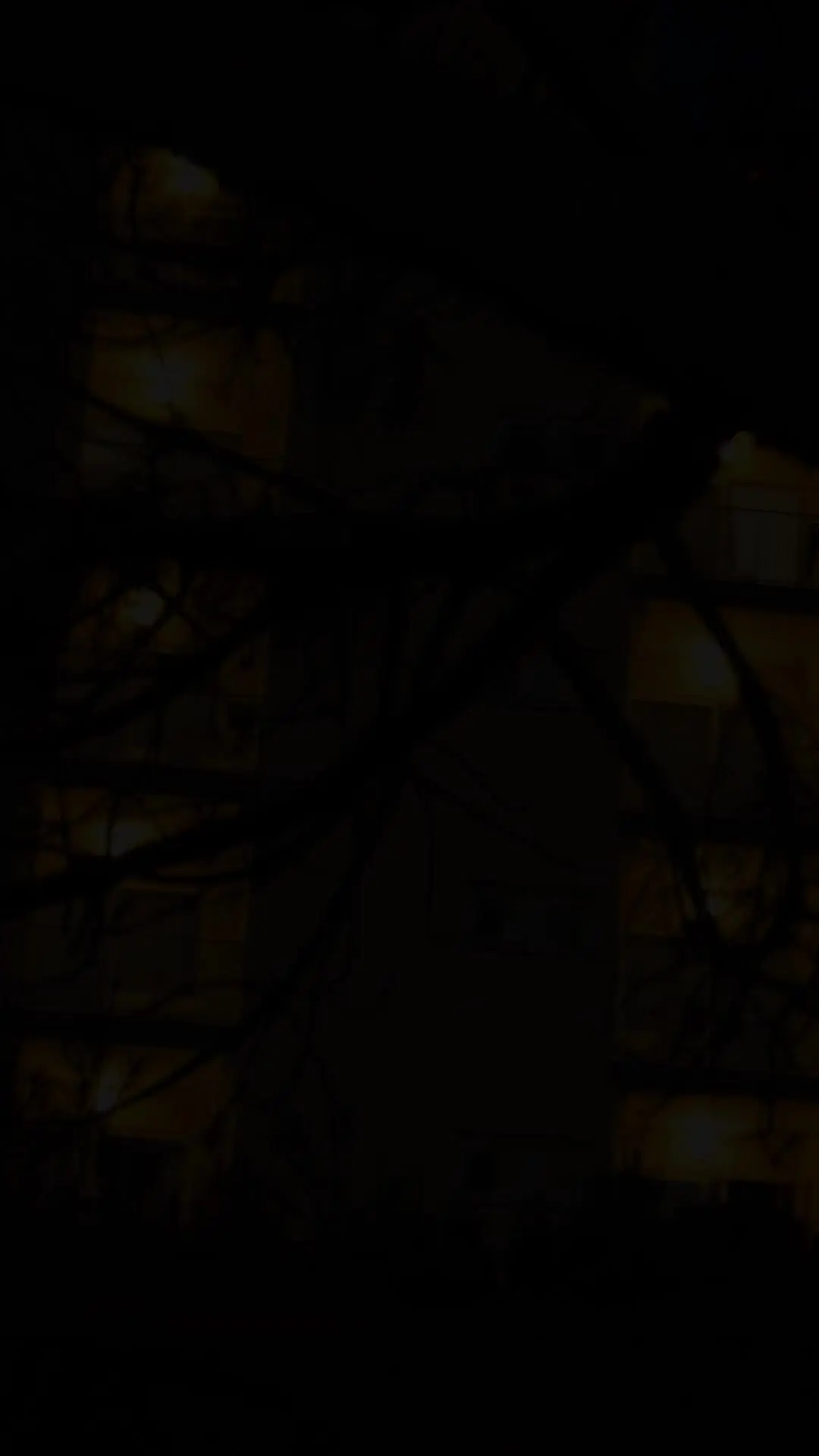 Episode 46 of Kidnapped by the Devil