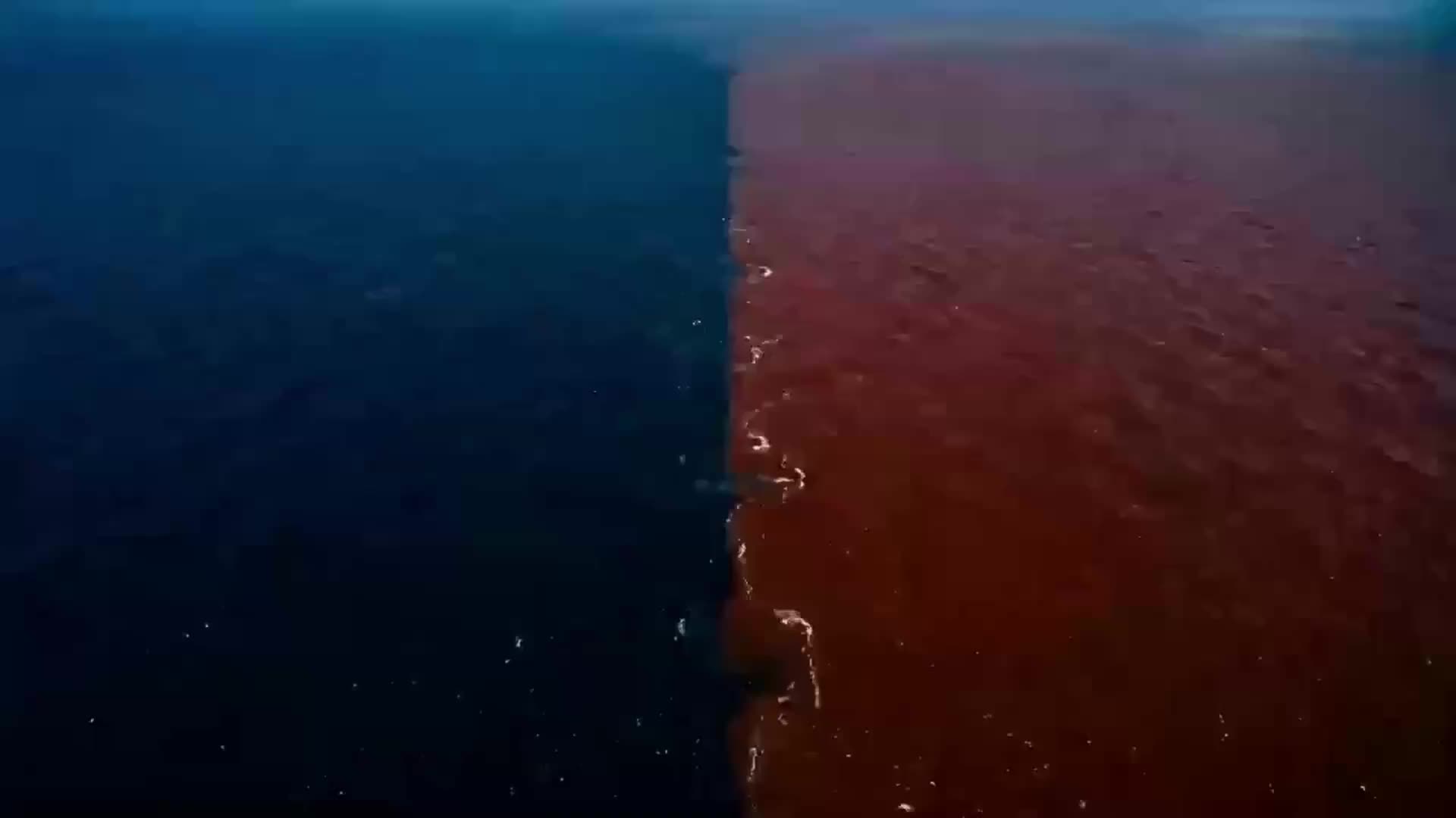 Episode 29 of King of the Flooded World