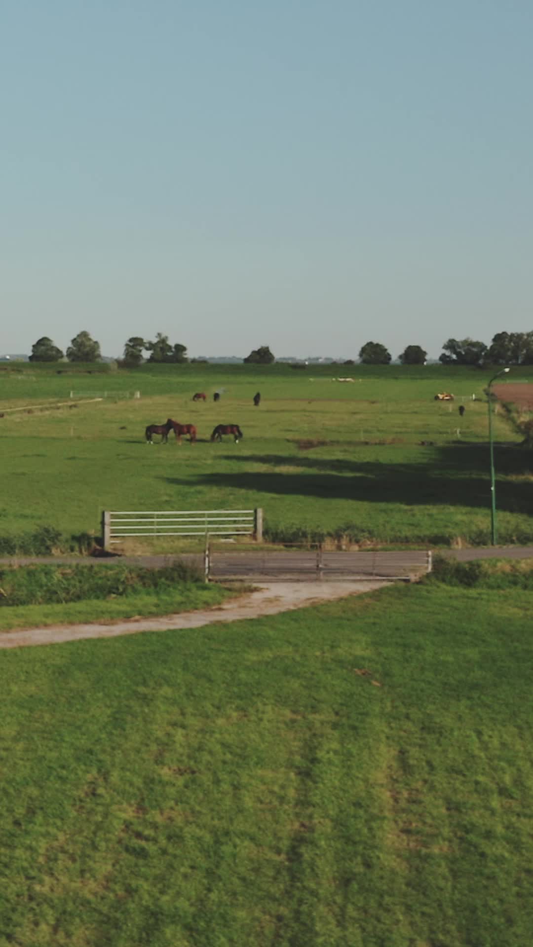 Episode 65 of Lassoed by a Cowboy's Love