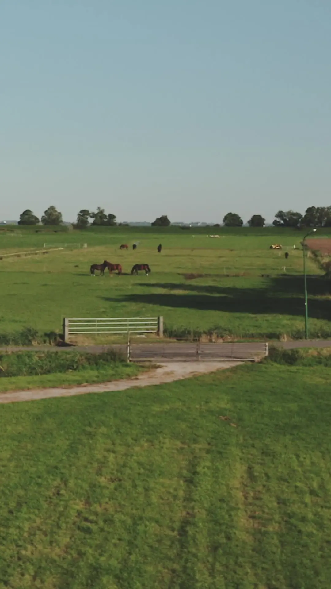 Episode 65 of Lassoed by a Cowboy's Love