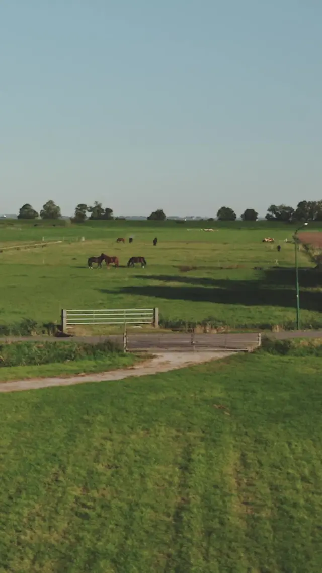 Episode 65 of Lassoed by a Cowboy's Love