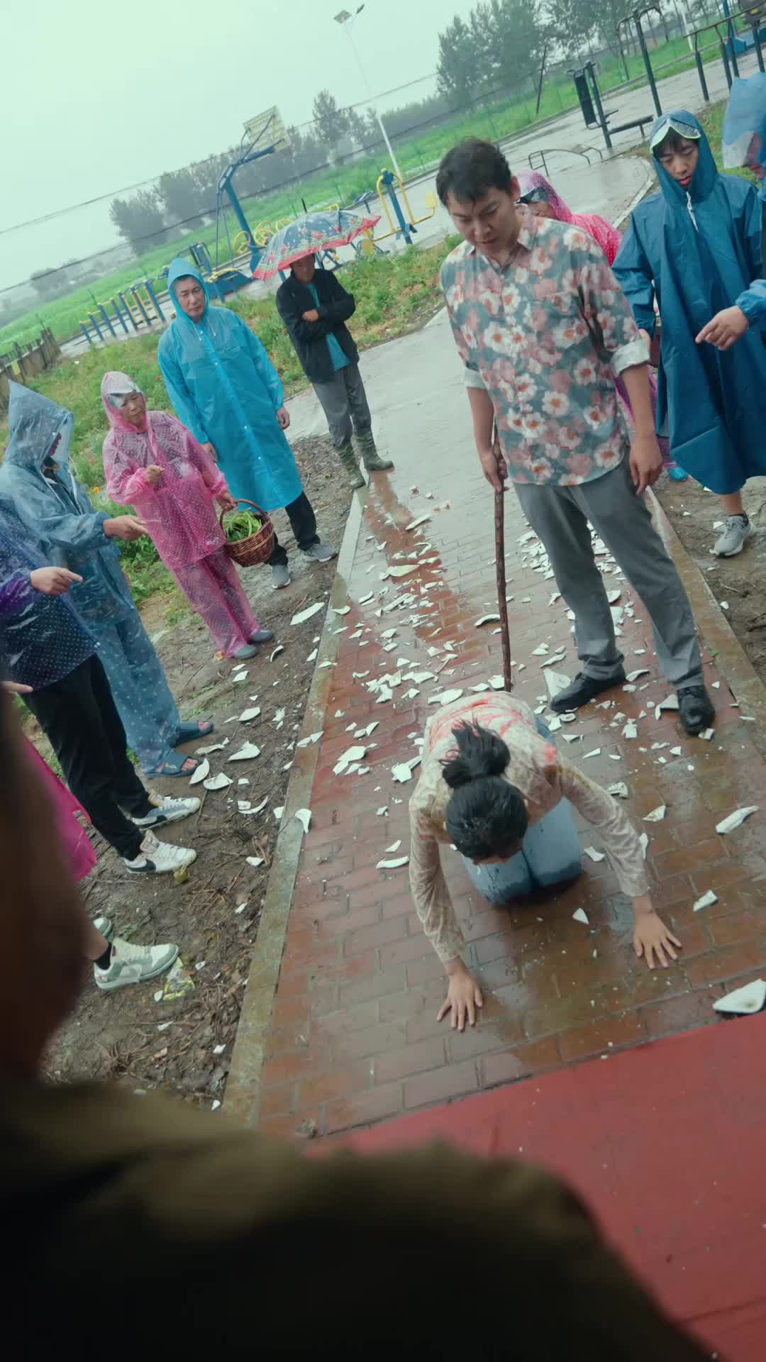 Episode 14 of Leaves Return to Their Roots
