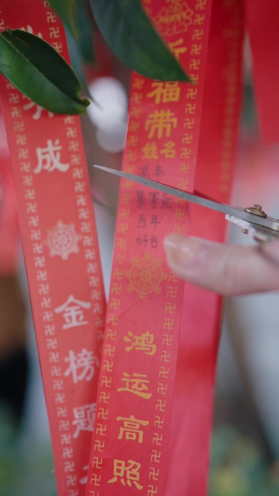 Episode 31 of Locked Out of His Heart