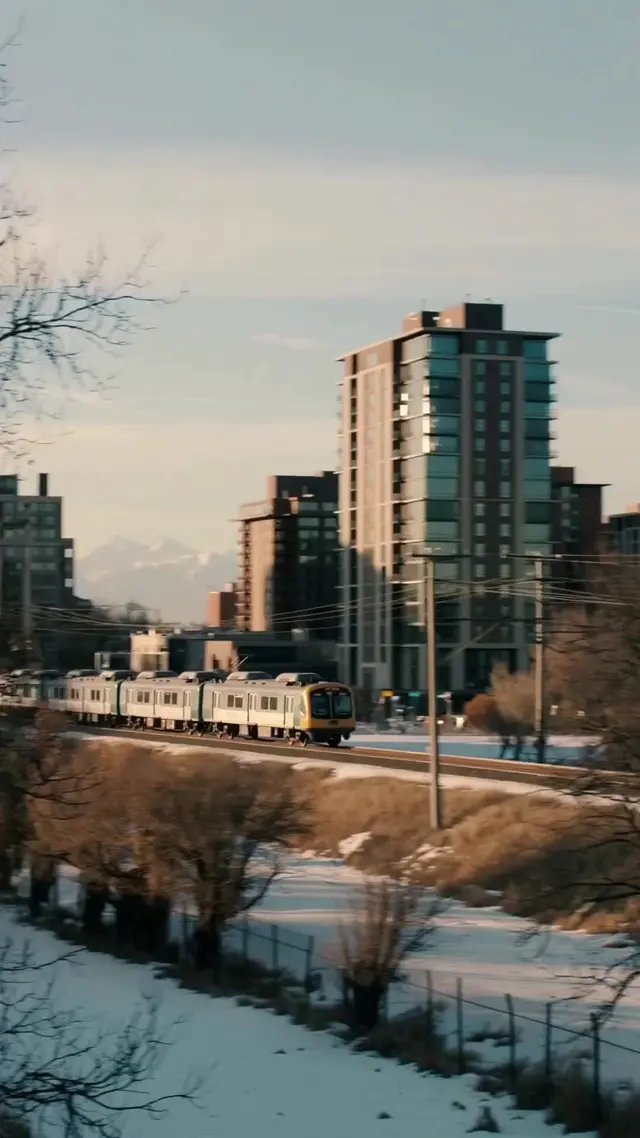 Episode 46 of Love, Like the First Snow