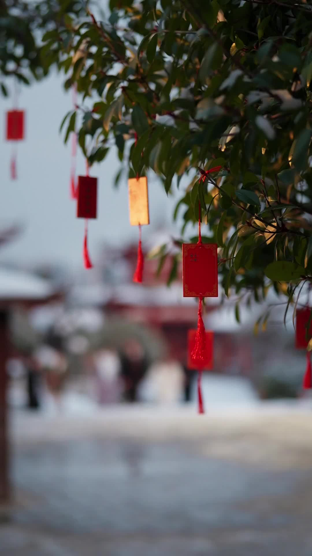 Episode 66 of Love, Like the First Snow