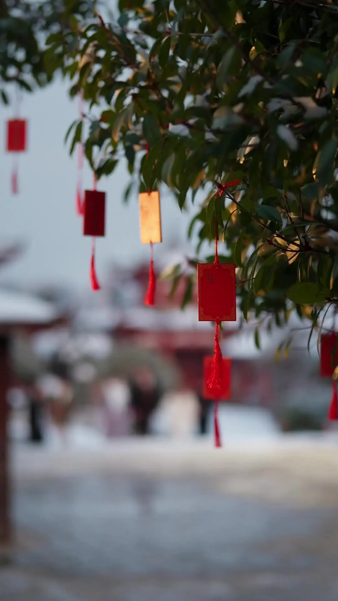 Episode 66 of Love, Like the First Snow