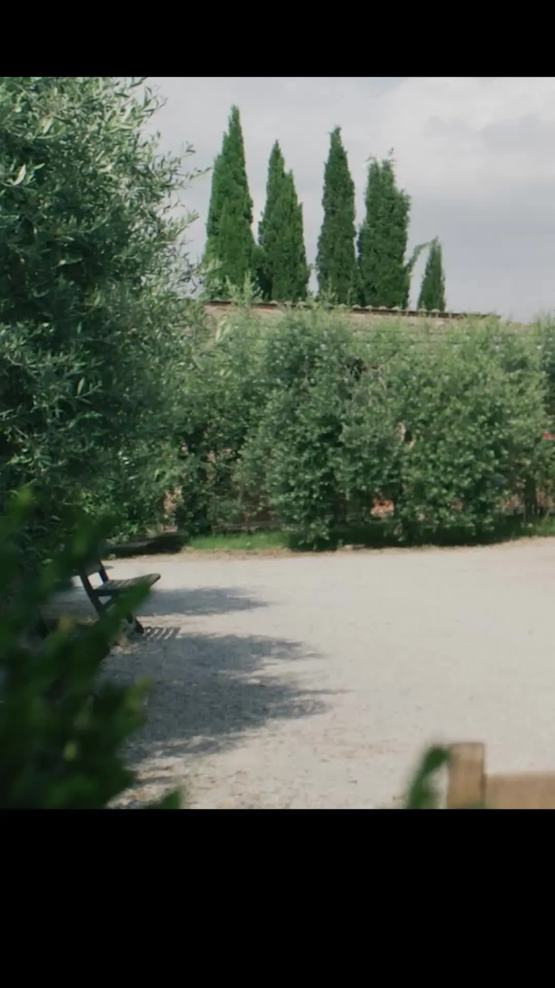 Episode 15 of Love Wine & Salt: A Tuscan Romance