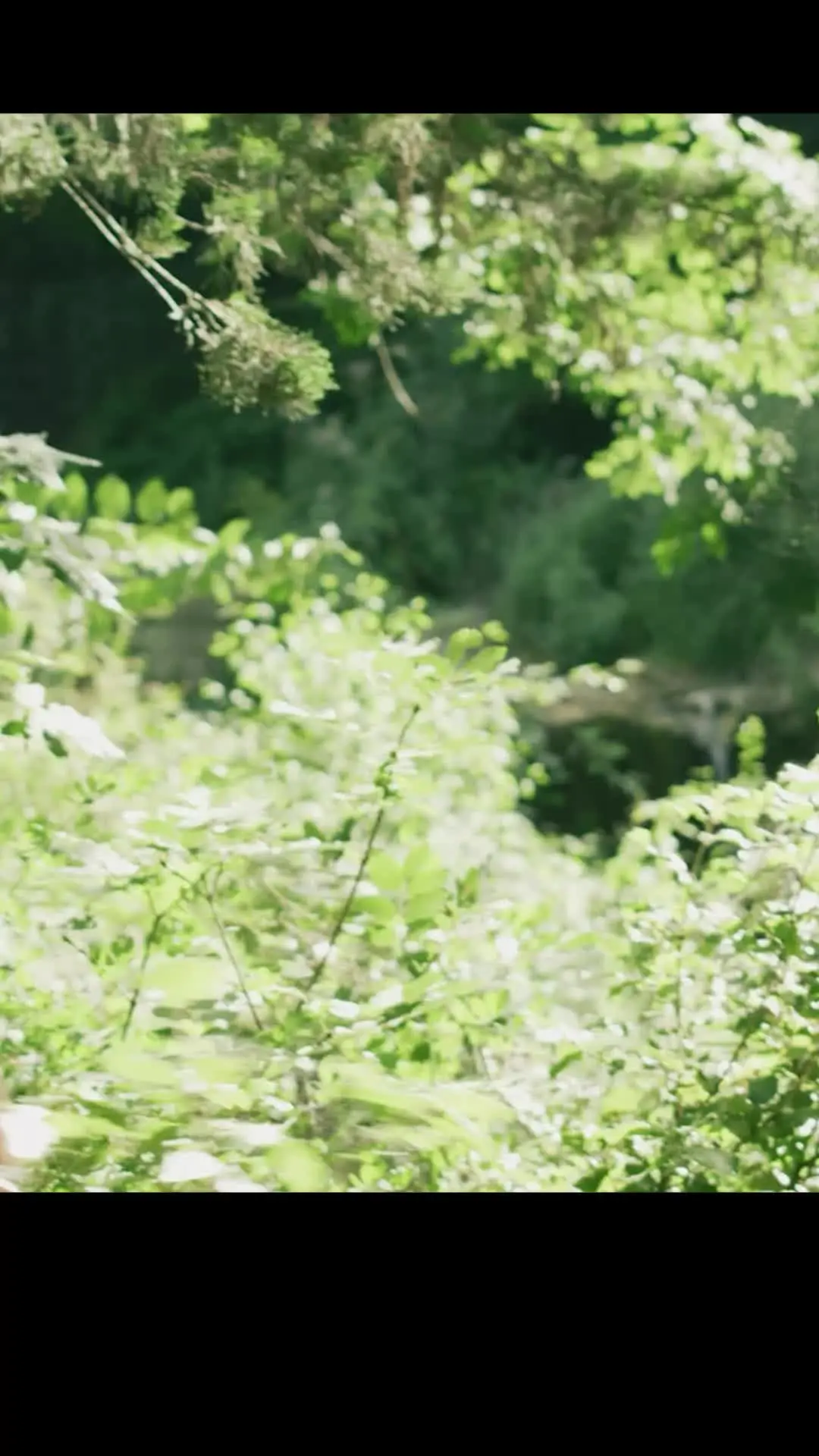 Episode 16 of Love Wine & Salt: A Tuscan Romance