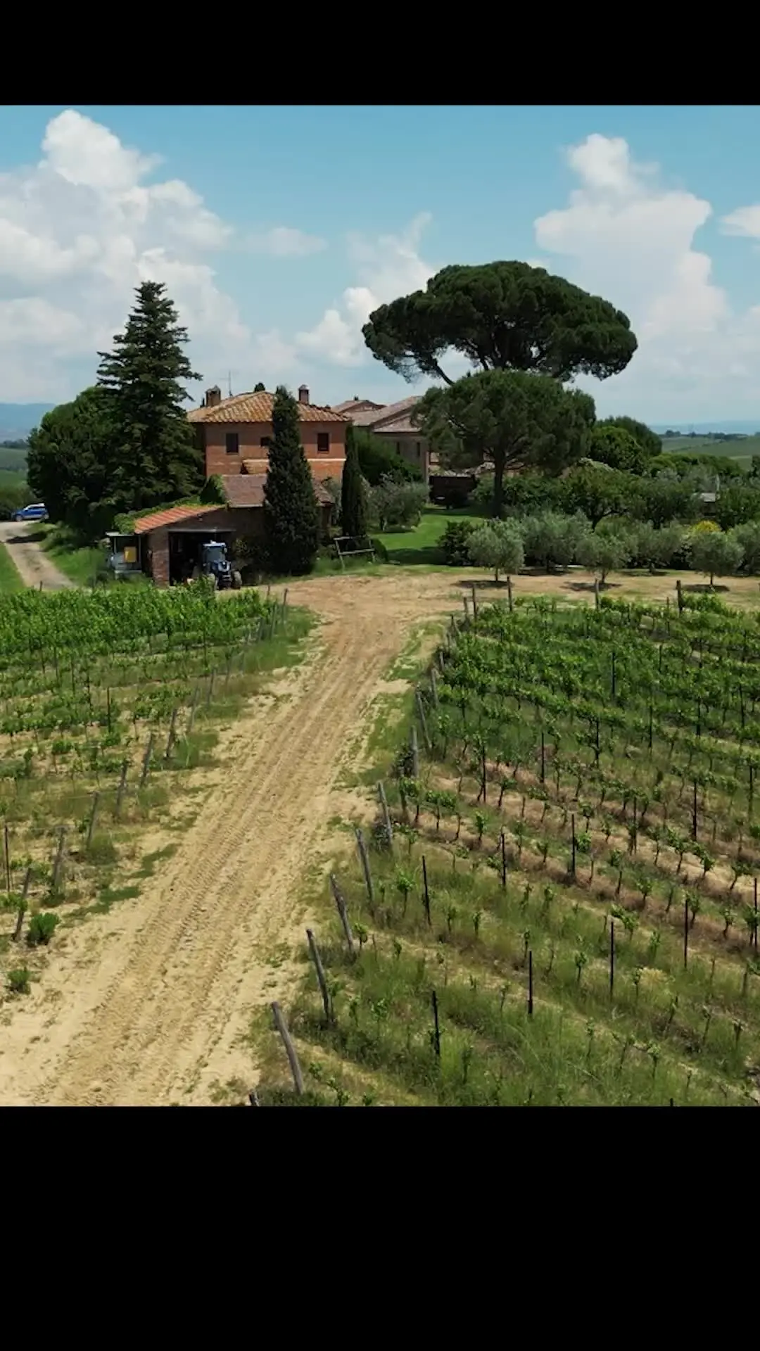 Episode 4 of Love Wine & Salt: A Tuscan Romance