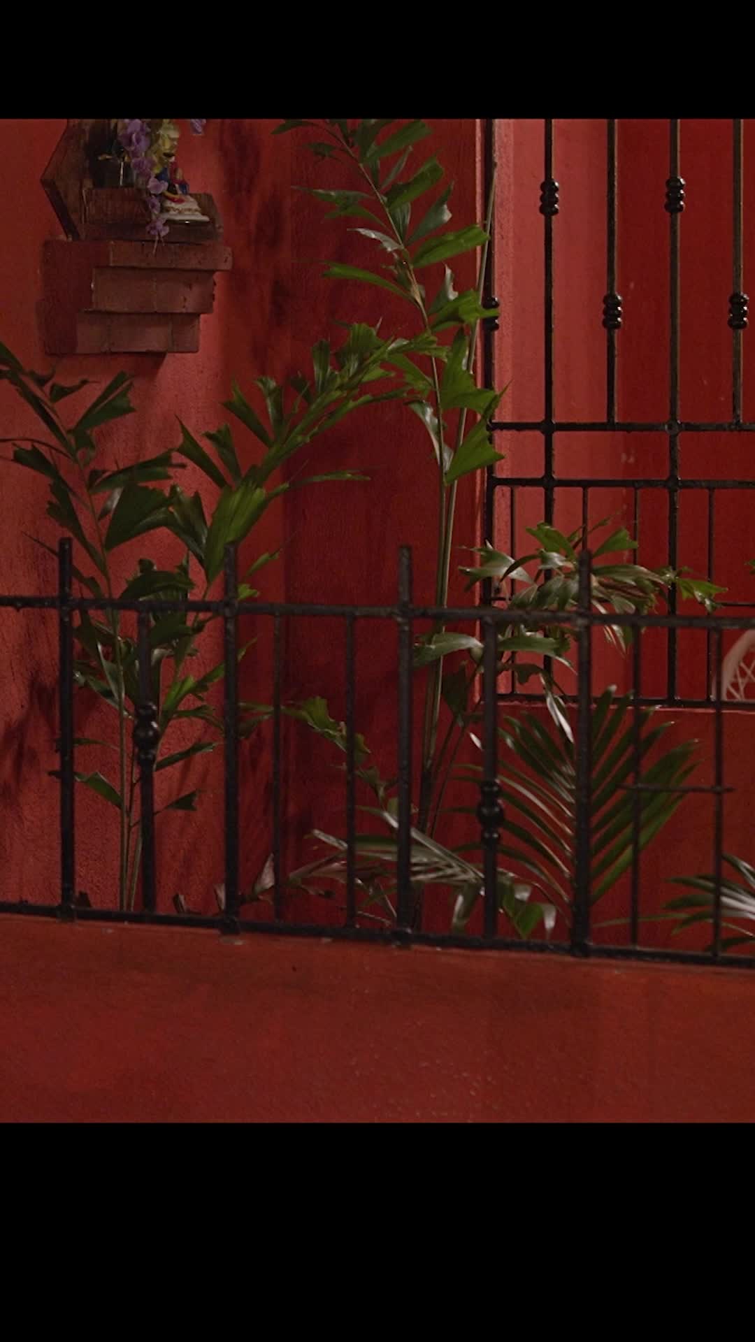 Episode 29 of Mi Angelito Favorito