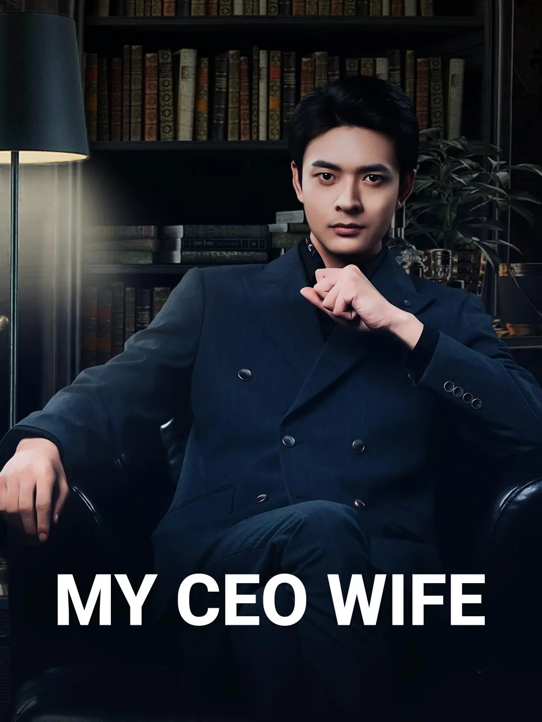 Cover of the miniseries My CEO Wife