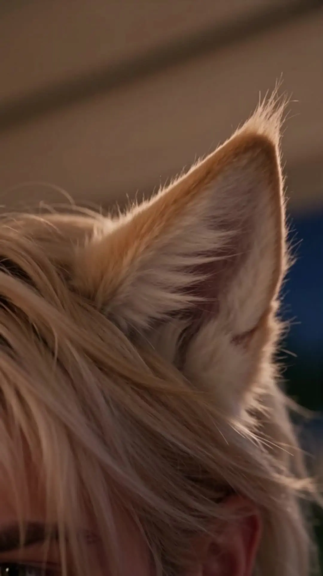 Episode 13 of My Wolf Rejected Me, So I Chose the Scarred Fox