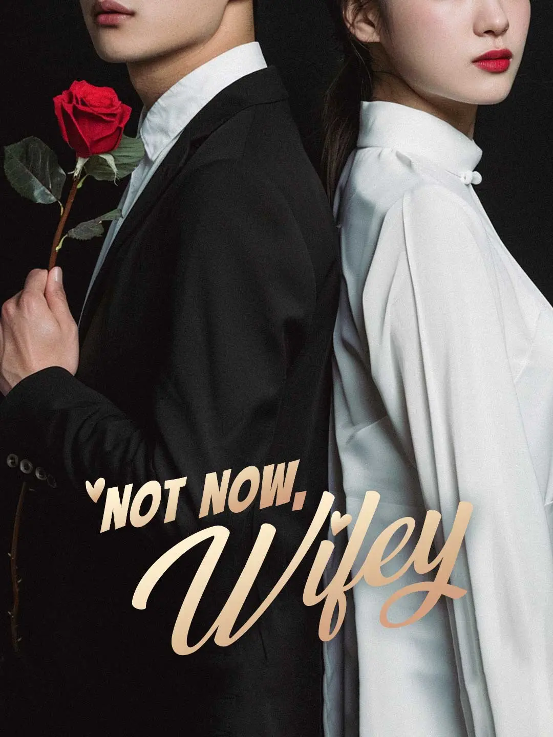Capa da minissérie Not Now, Wifey