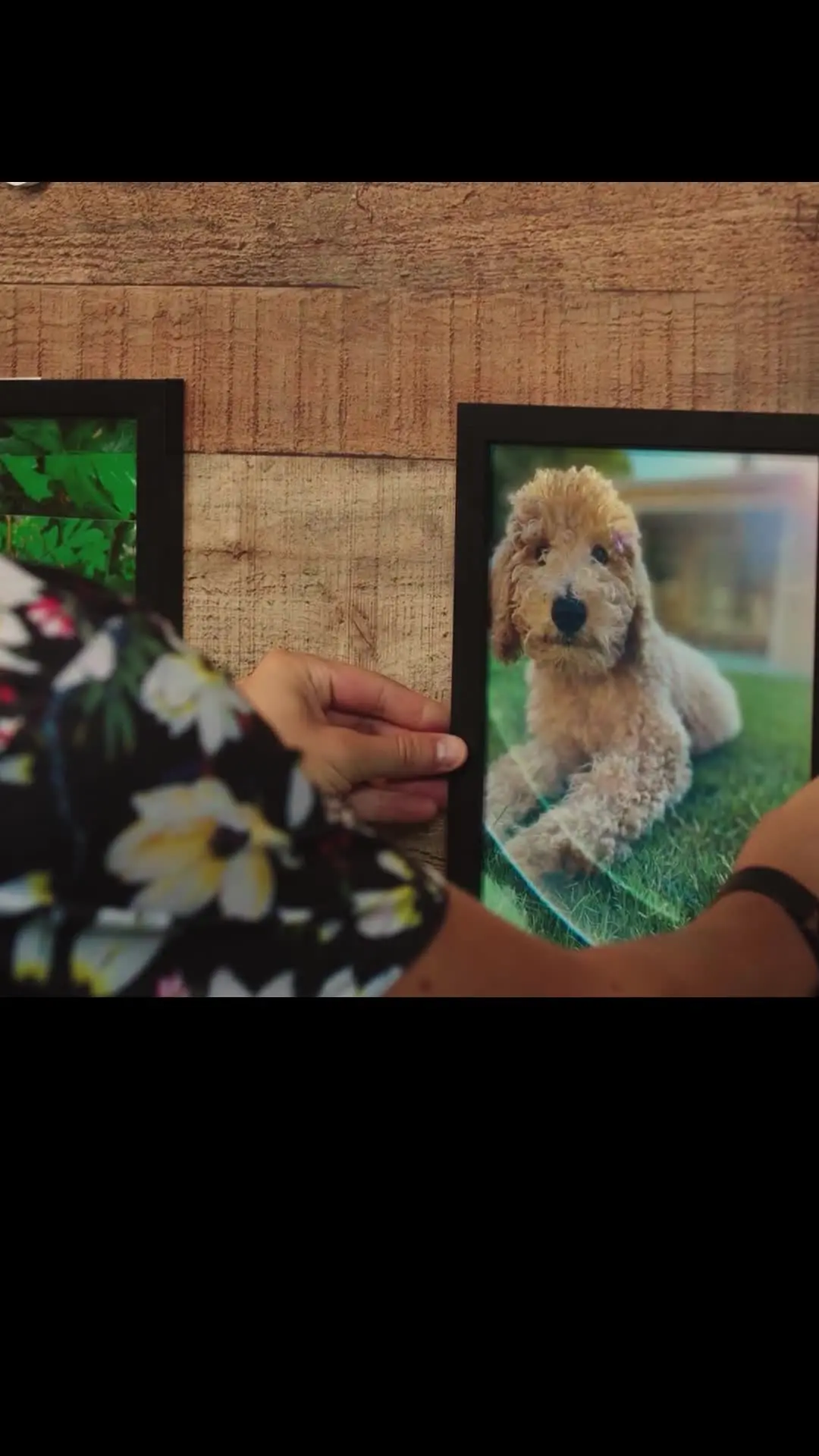 Episode 32 of Puppy Love