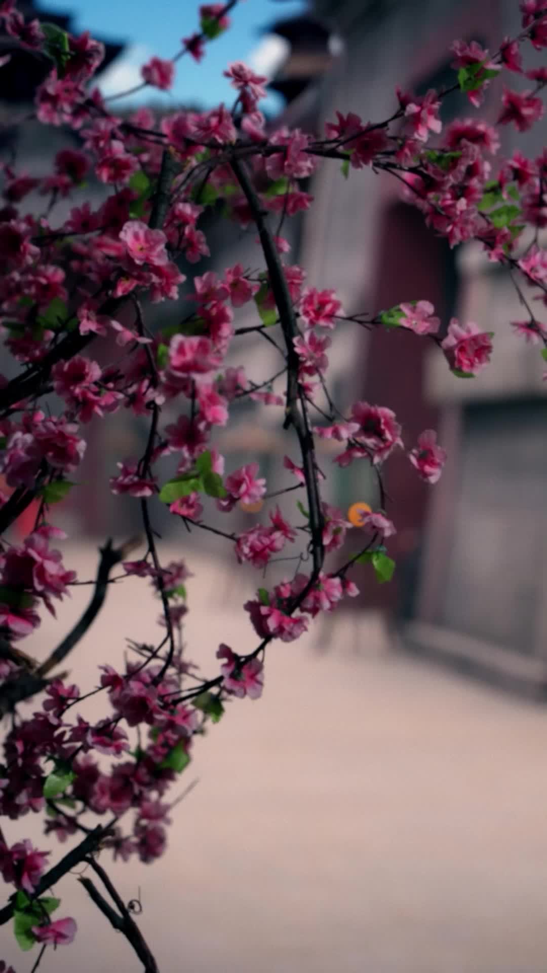 Episode 5 of Reborn Bride: Saving the Crown Prince