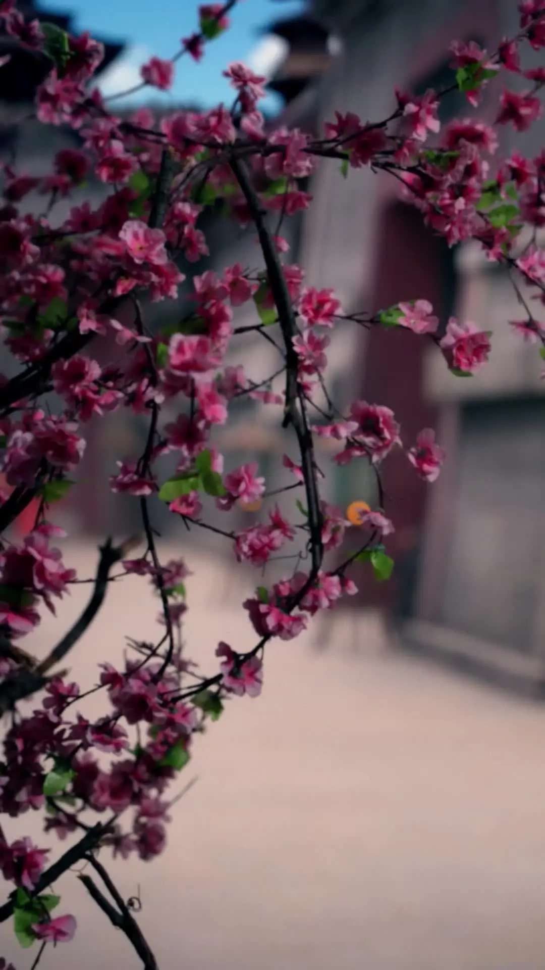 Episode 5 of Reborn Bride: Saving the Crown Prince