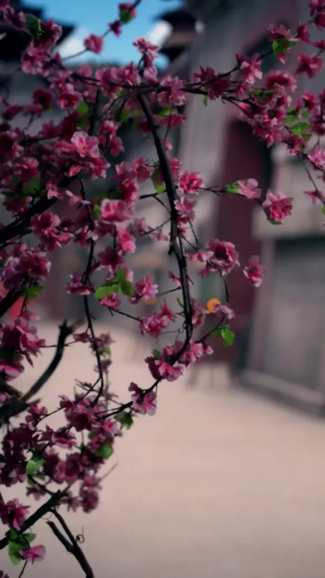 Episode 5 of Reborn Bride: Saving the Crown Prince