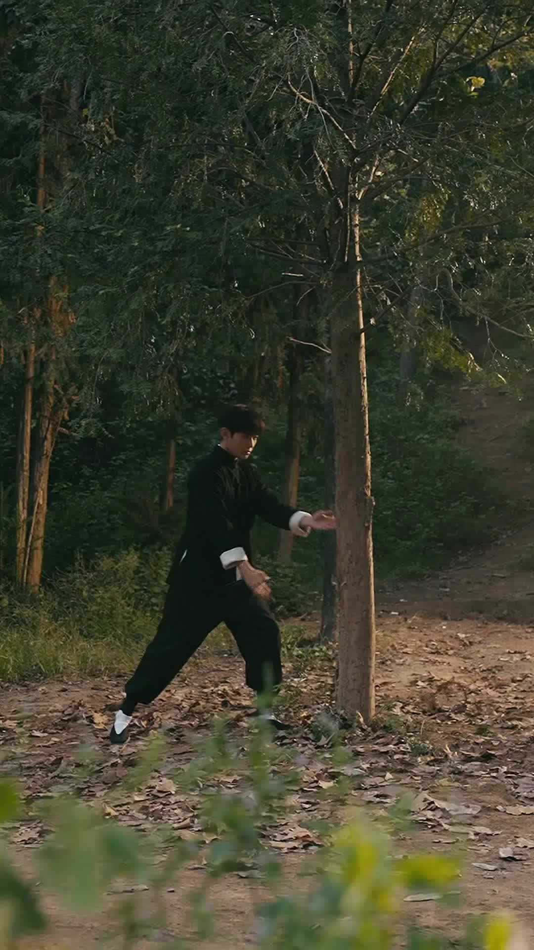 Episode 3 of Rise of the Kung Fu King