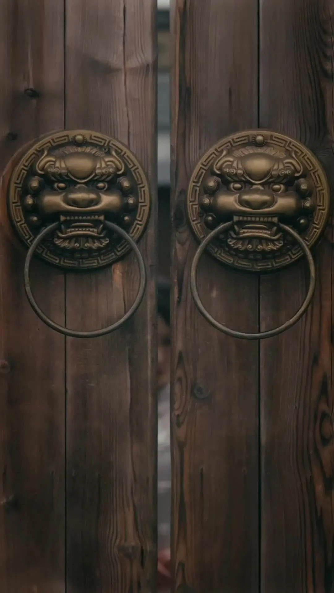 Episode 51 of Rise of the Kung Fu King