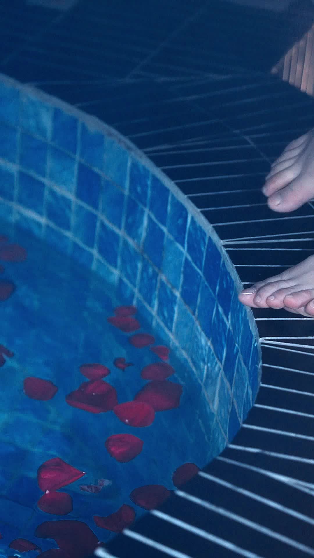 Episode 9 of Rose Petals and Resurrection