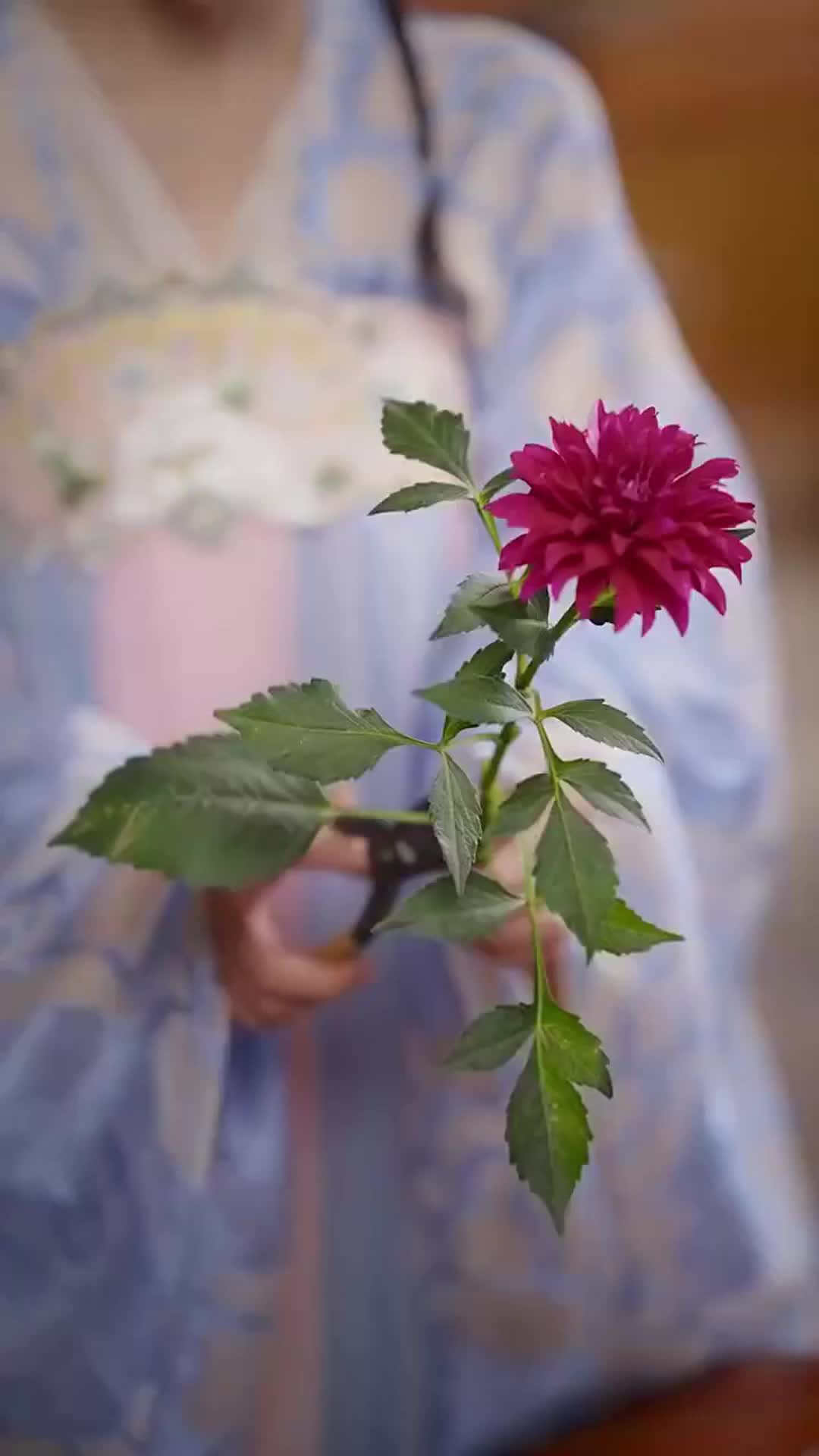 Episode 14 of Royal Twist: The Powerhouse Prince