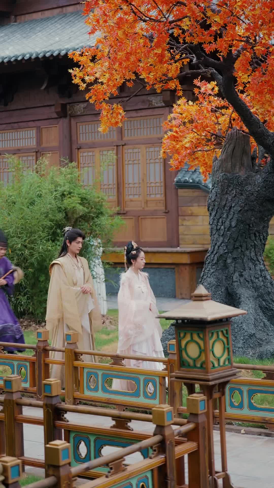 Episode 9 of Scarlet Revenge: The Emperor's Love