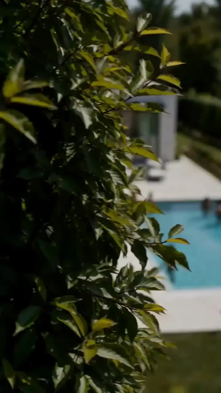 Episode 1 of Secretly Pregnant with the Billionaire's Daughter