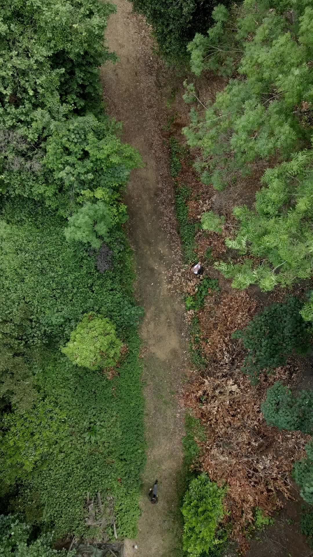 Episode 1 of Shanghai Sherlock