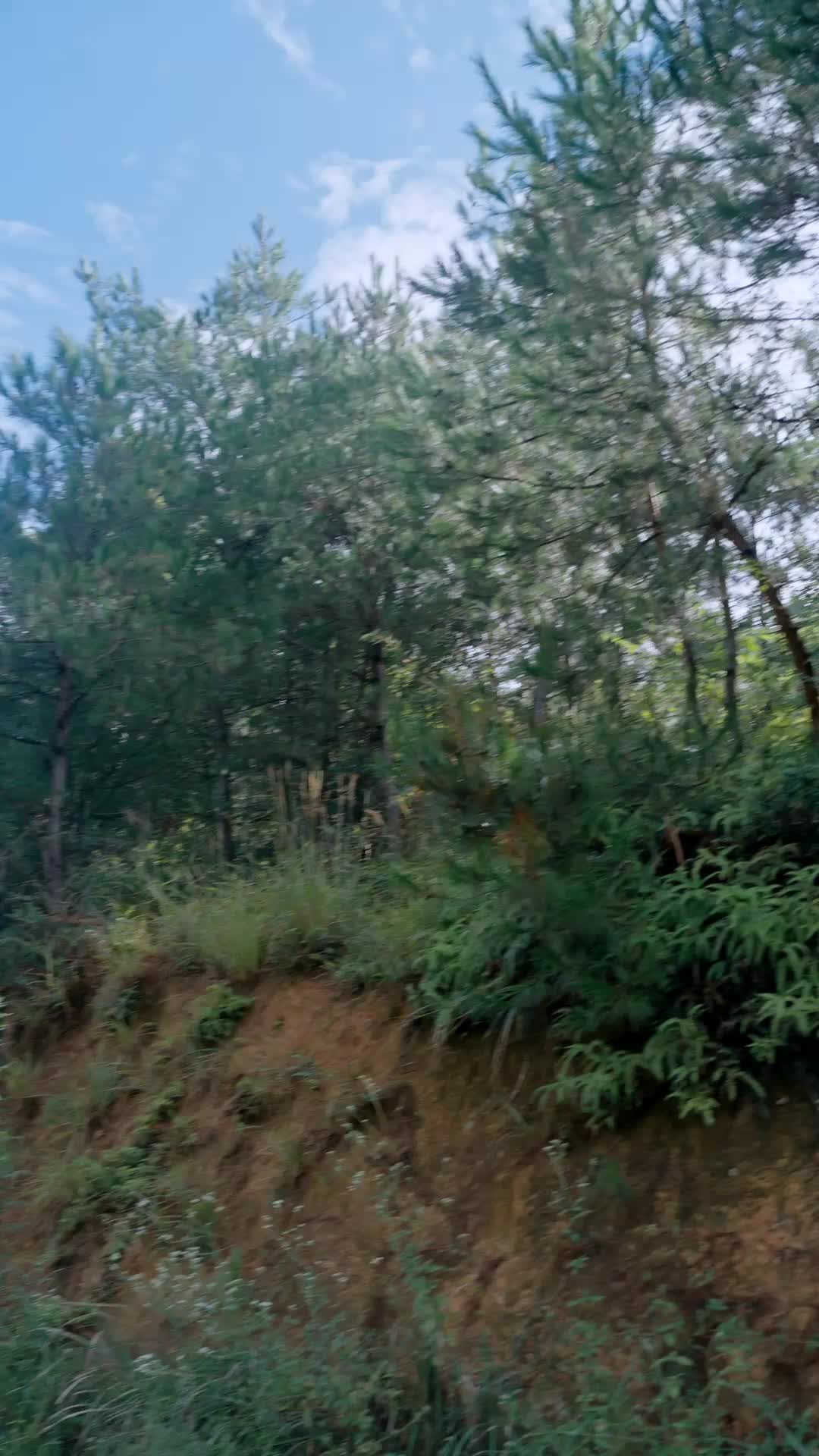 Episode 22 of She Ruled the Wilderness