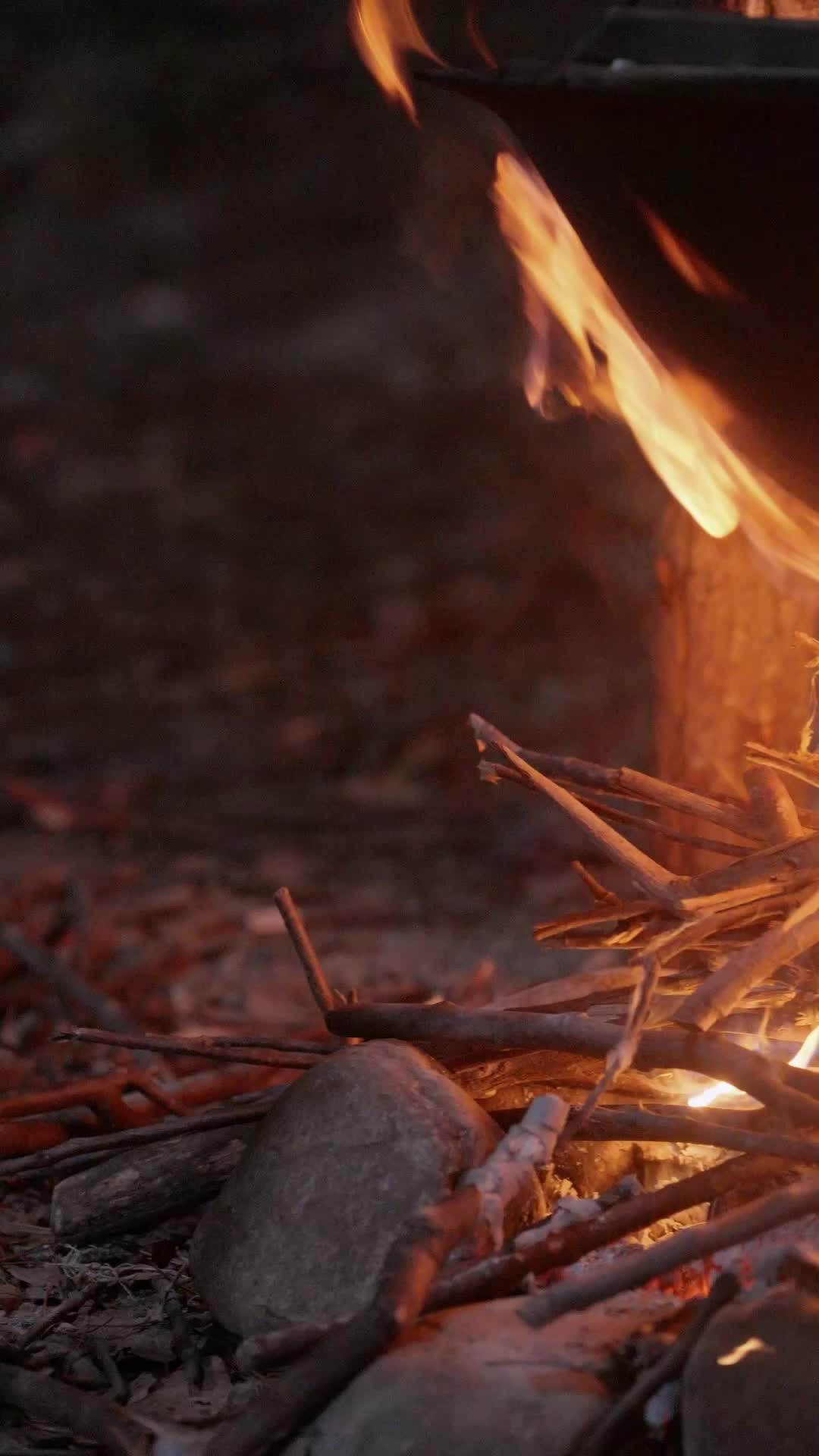 Episode 9 of She Ruled the Wilderness