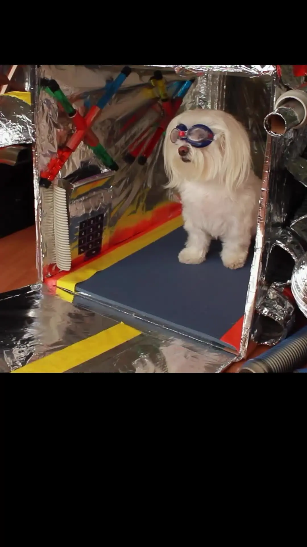 Episode 5 of Star Paws