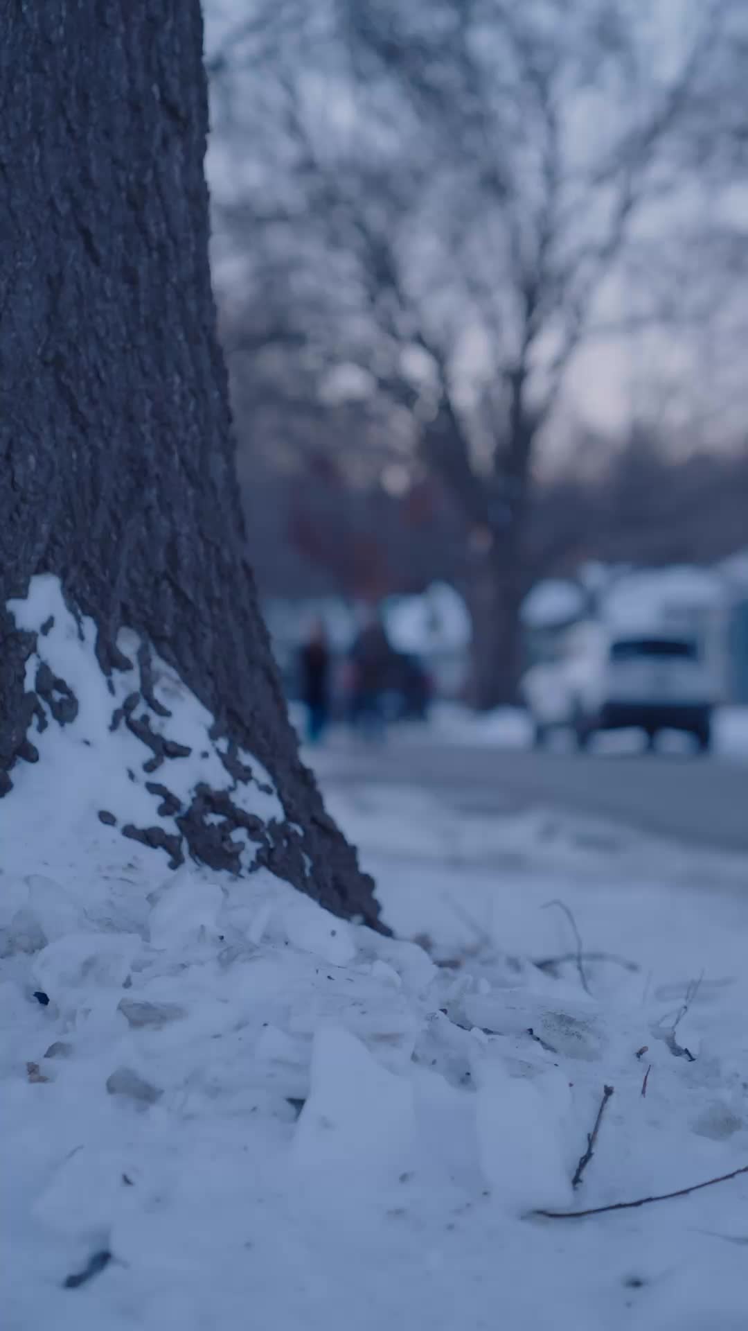 Episode 30 of Stop! That Homeless Man Is an American Hero!