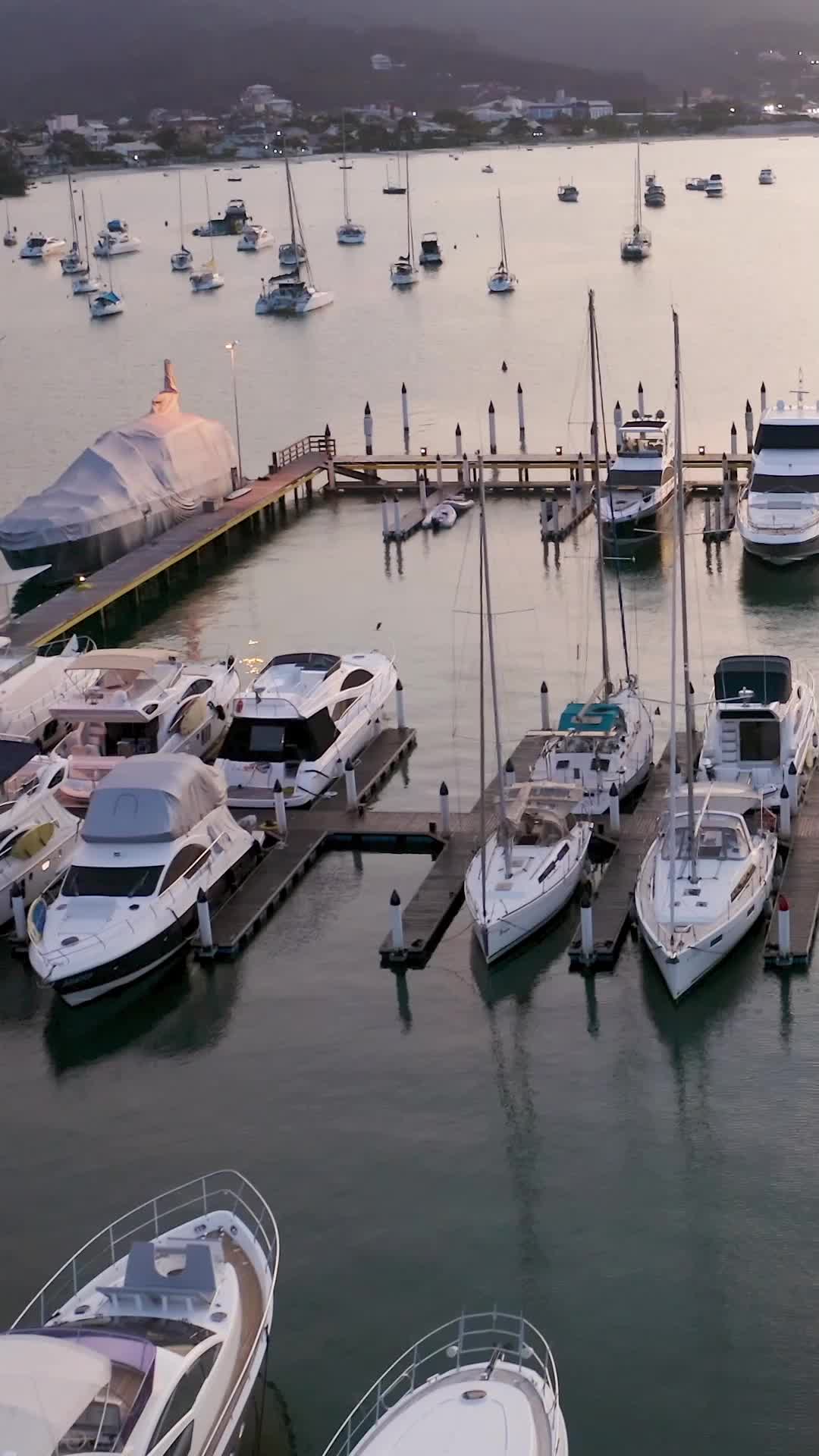 Episode 63 of Succession: Beauty and the Billionaire