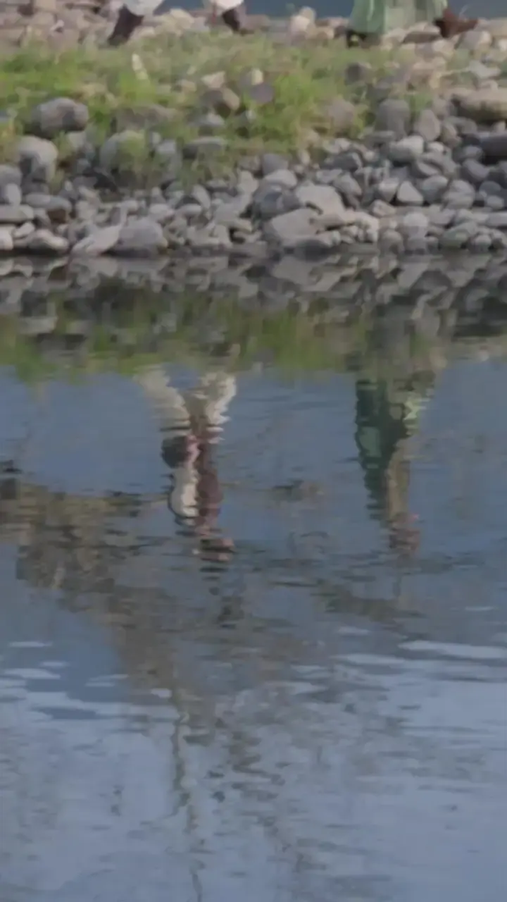 Episode 9 of Taste of the Wild