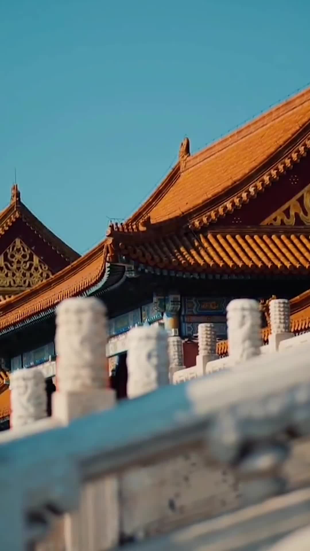 Episode 49 of That Beggar's Dad Is the Crown Prince!