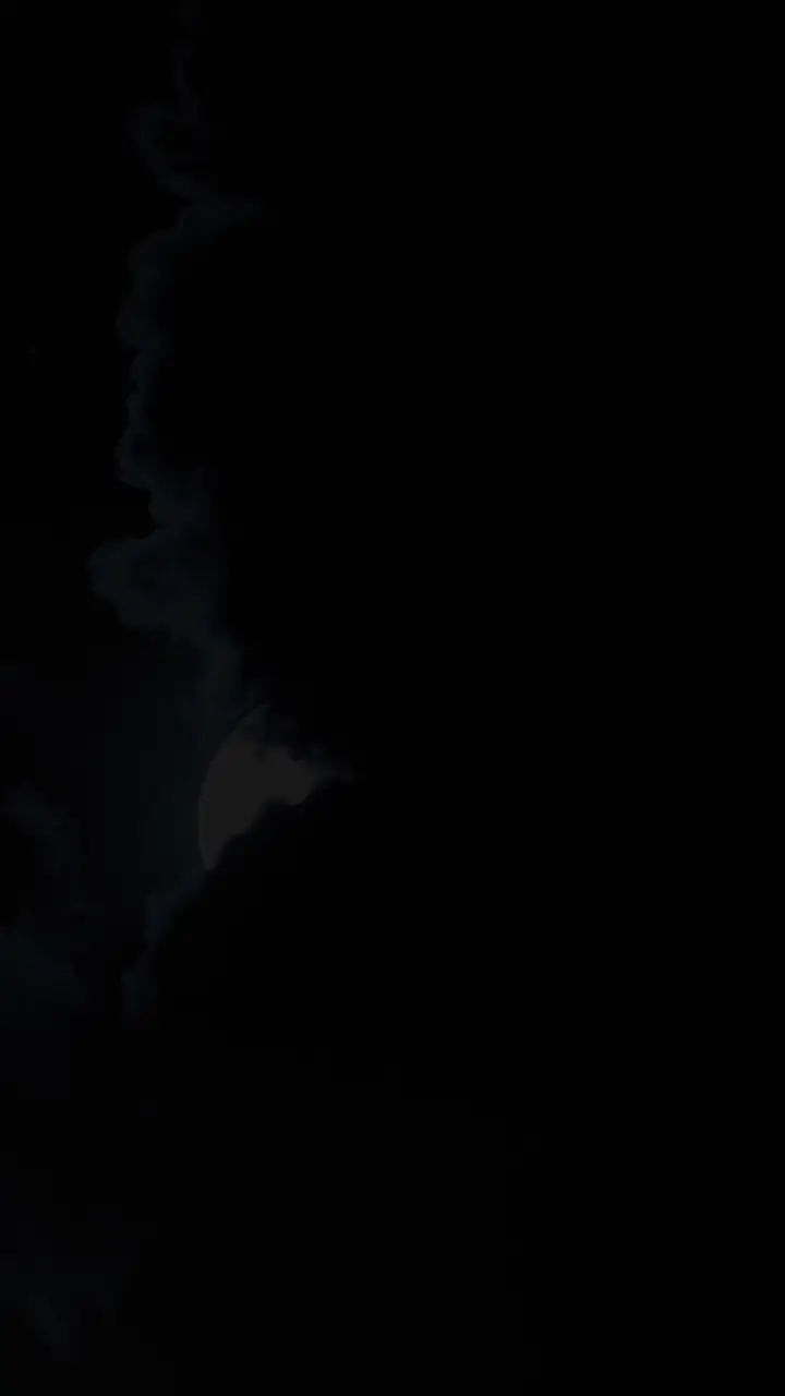 Episode 1 of The Alpha King and His Virgin Bride