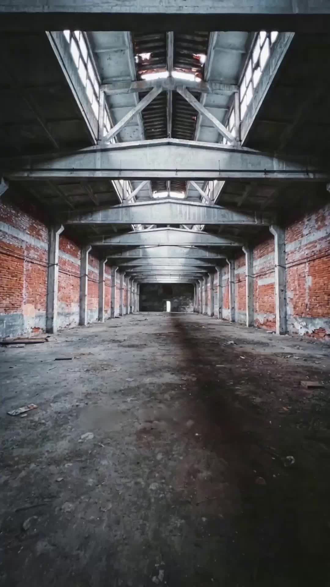 Episode 3 of The Architect of the Apocalypse