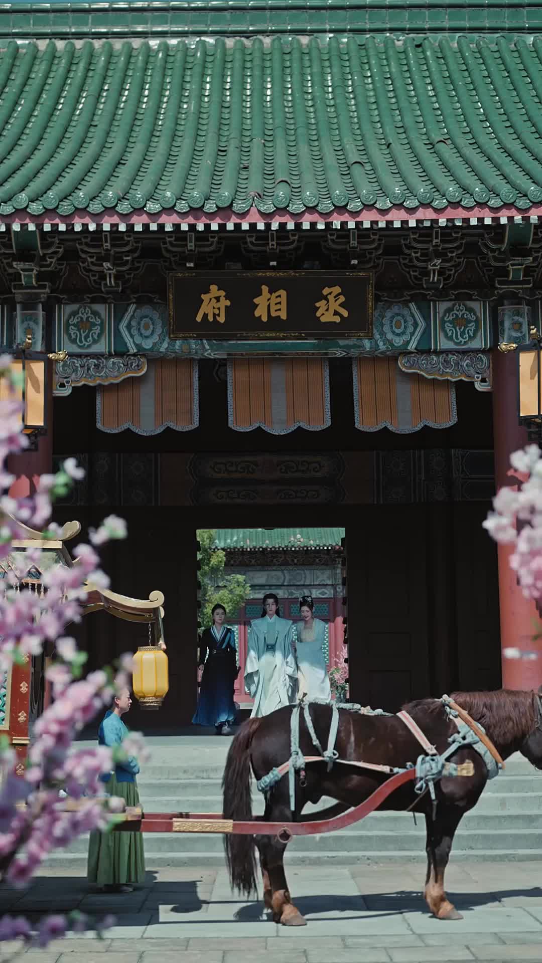 Episode 8 of The Chancellor at My Door